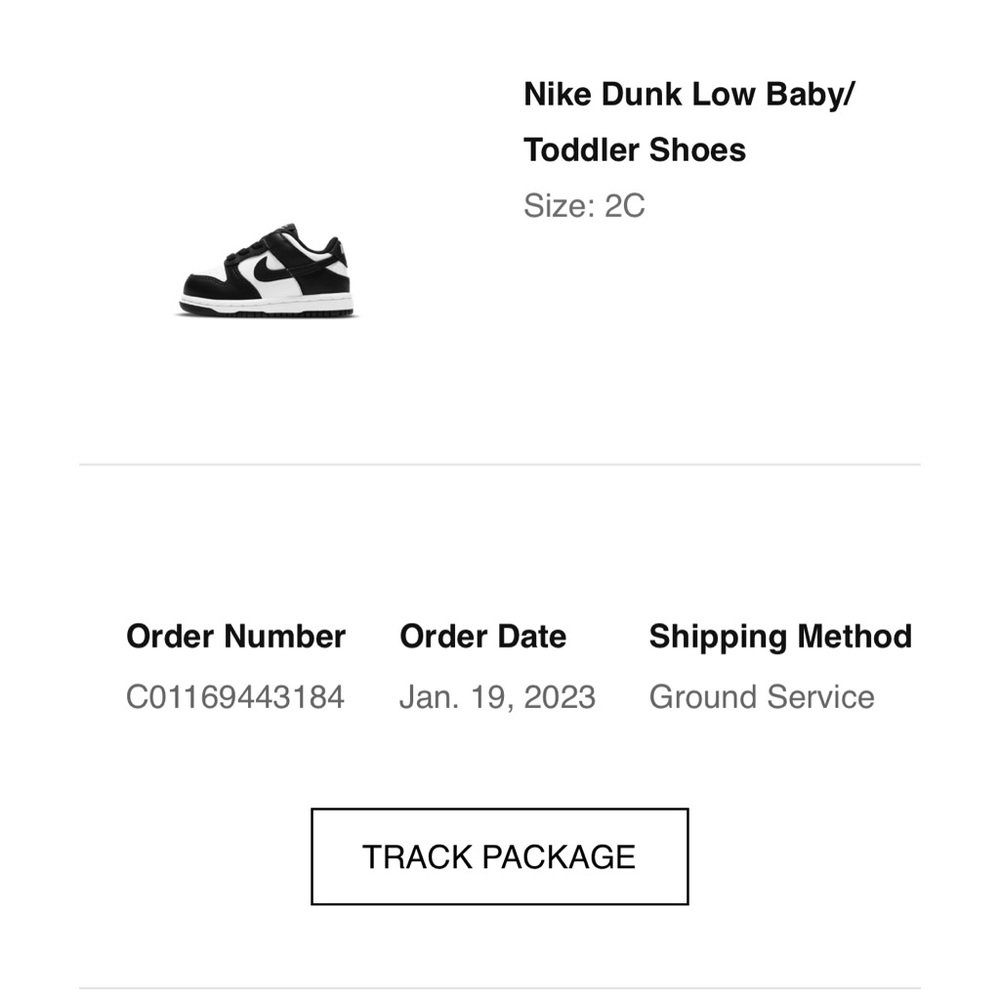 Nike Dunk Low Panda Size 2C